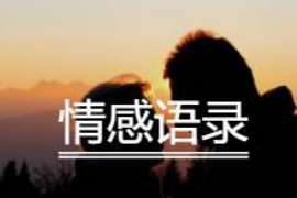 镇坪婚外情取证